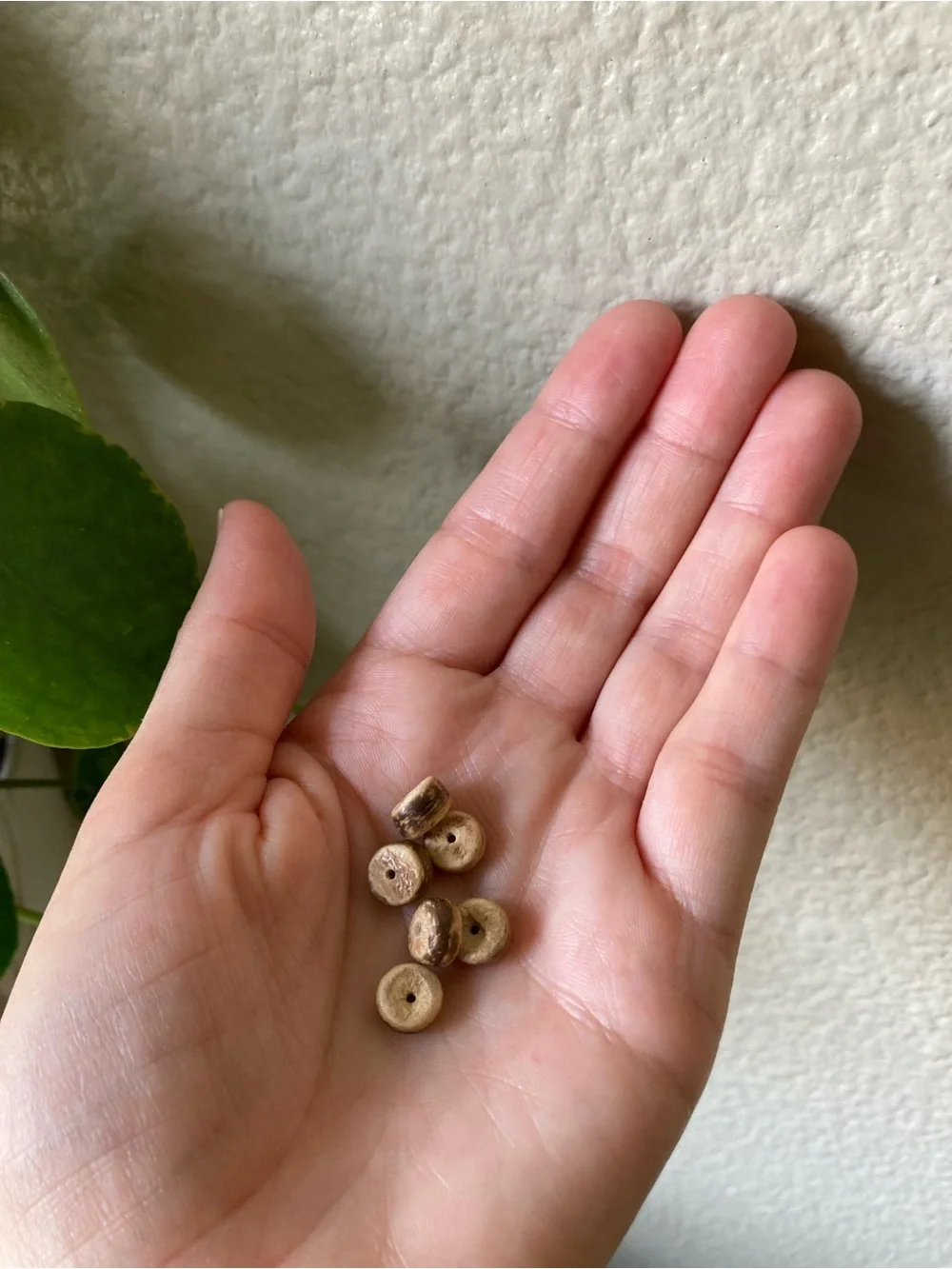 Wood, Coconut and Shell Bead Mix with Organizer